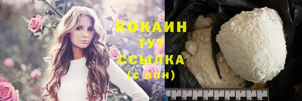 прущие грибы Абаза