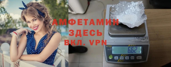 прущие грибы Абинск