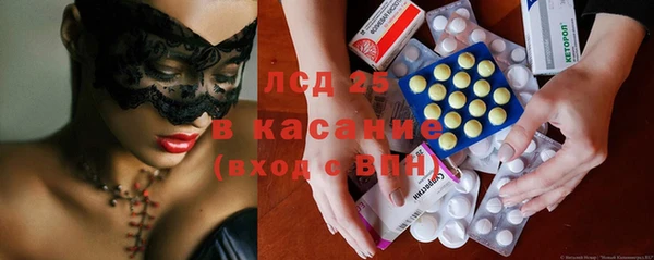 прущие грибы Абинск