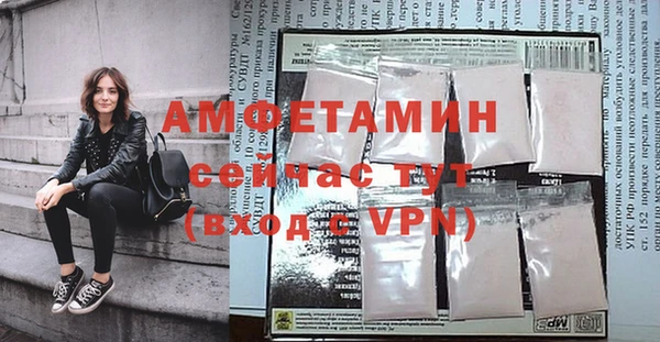 прущие грибы Абаза