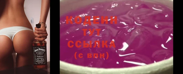 прущие грибы Абинск
