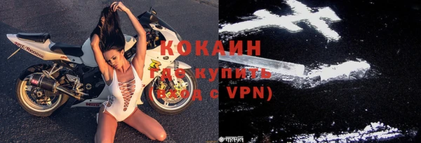 прущие грибы Абинск